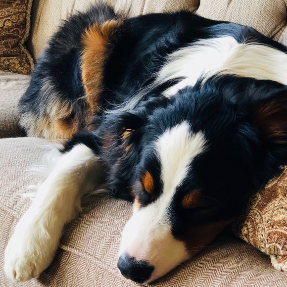 Meet your Posher!! - Picture 2 of 5